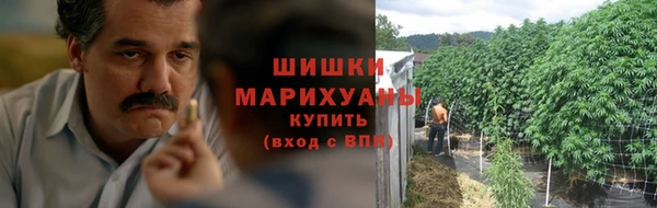 индика Белоозёрский