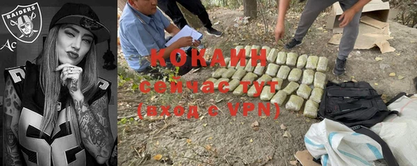 индика Белоозёрский