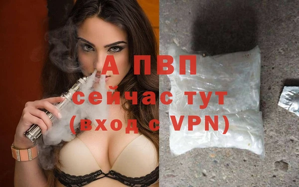 индика Белоозёрский