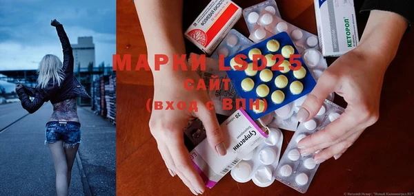 индика Белоозёрский