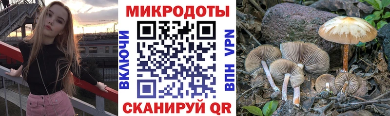 Псилоцибиновые грибы Magic Shrooms  Томари 